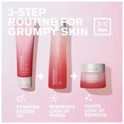 Estee Lauder Nutritious Airy Lotion