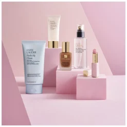 Estee Lauder Perfectly Clean Multi-Action Foam Cleanser/Purifying Mask