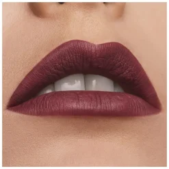 Estee Lauder Pure Color Matte Lipstick