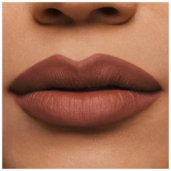 Estee Lauder Pure Color Matte Lipstick