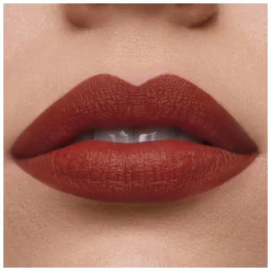 Estee Lauder Pure Color Matte Lipstick