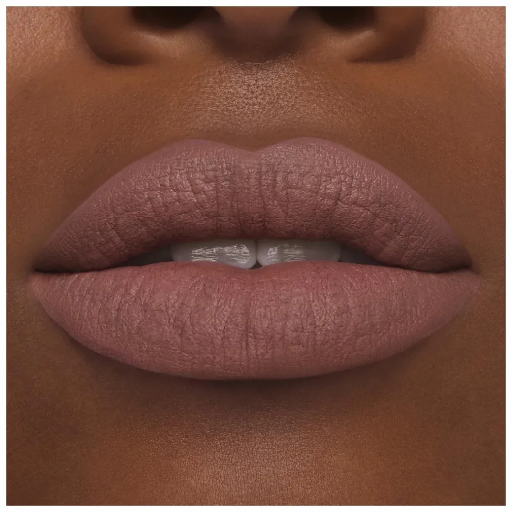 Estee Lauder Pure Color Matte Lipstick