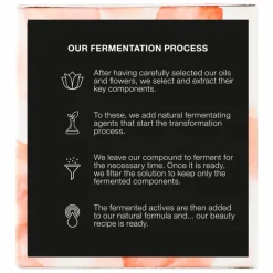 Florena Antioxidant Night Cream