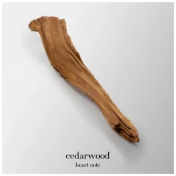 Giorgio Armani Emporio Armani Diamonds For Men Eau de Toilette Spray