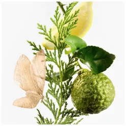 Goutal Eau d'Hadrien Eau de Parfum Spray