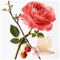 Goutal Rose Pompon Eau de Parfum Spray