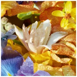 GUERLAIN Aqua Allegoria FloraBloom Eau de Toilette Spray Refill