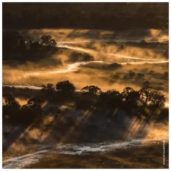 GUERLAIN Aqua Allegoria Forte Bosca Vanilla Eau de Parfum Spray Refill