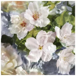 GUERLAIN Aqua Allegoria Flora Cherrysia Eau de Toilette Spray