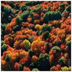 GUERLAIN Aqua Allegoria Forte Rosa Palissandro Eau de Parfum Spray Refill