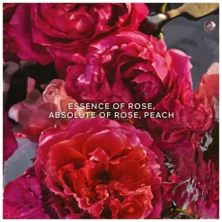 GUERLAIN Aqua Allegoria Forte Rosa Rossa Eau de Parfum Spray