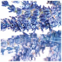 GUERLAIN Mon Guerlain Eau de Parfum Spray 50ml Gift Set