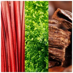 Joop GO Eau de Toilette Spray