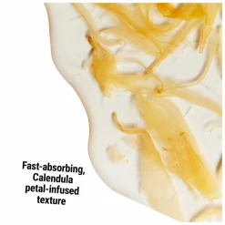 Kiehl's Calendula Herbal-Extract Alcohol-Free Toner - Holiday Edition