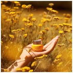 L'Occitane Immortelle Divine Eye Balm