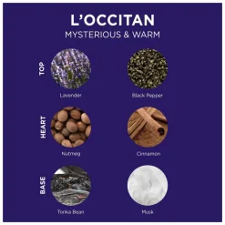 L'Occitane L'Occitan Shower Gel