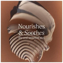 L'Occitane Shea Butter Hand Cream