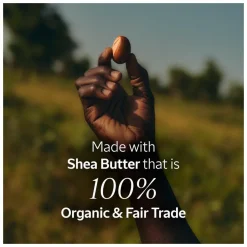 L'Occitane Shea Butter Nail and Cuticle Oil