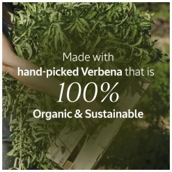 L'Occitane Verbena Shower Gel Refill