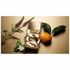 Michael Kors Pour Femme Eau de Parfum Spray 100ml Gift Set