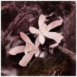 Moncler Les Sommets Haute Montagne Eau de Parfum Spray