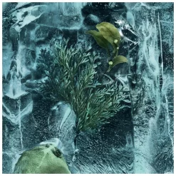 Moncler Les Sommets La Cordee Eau de Parfum Spray