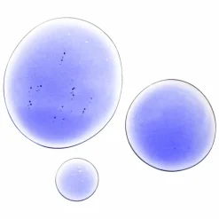 NIOD Copper Amino Isolate Serum 3 1:1