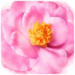 Nuxe Hair Prodigieux Intense Nourishing Leave-In Cream