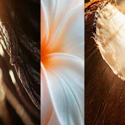 Nuxe Sunset Bliss Hair & Skin Fragrant Mist