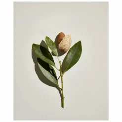 Origins Checks and Balances Milky Oil Cleanser + Makeup Melter