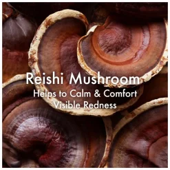 Origins Mega-Mushroom Skin Relief Face Cleanser