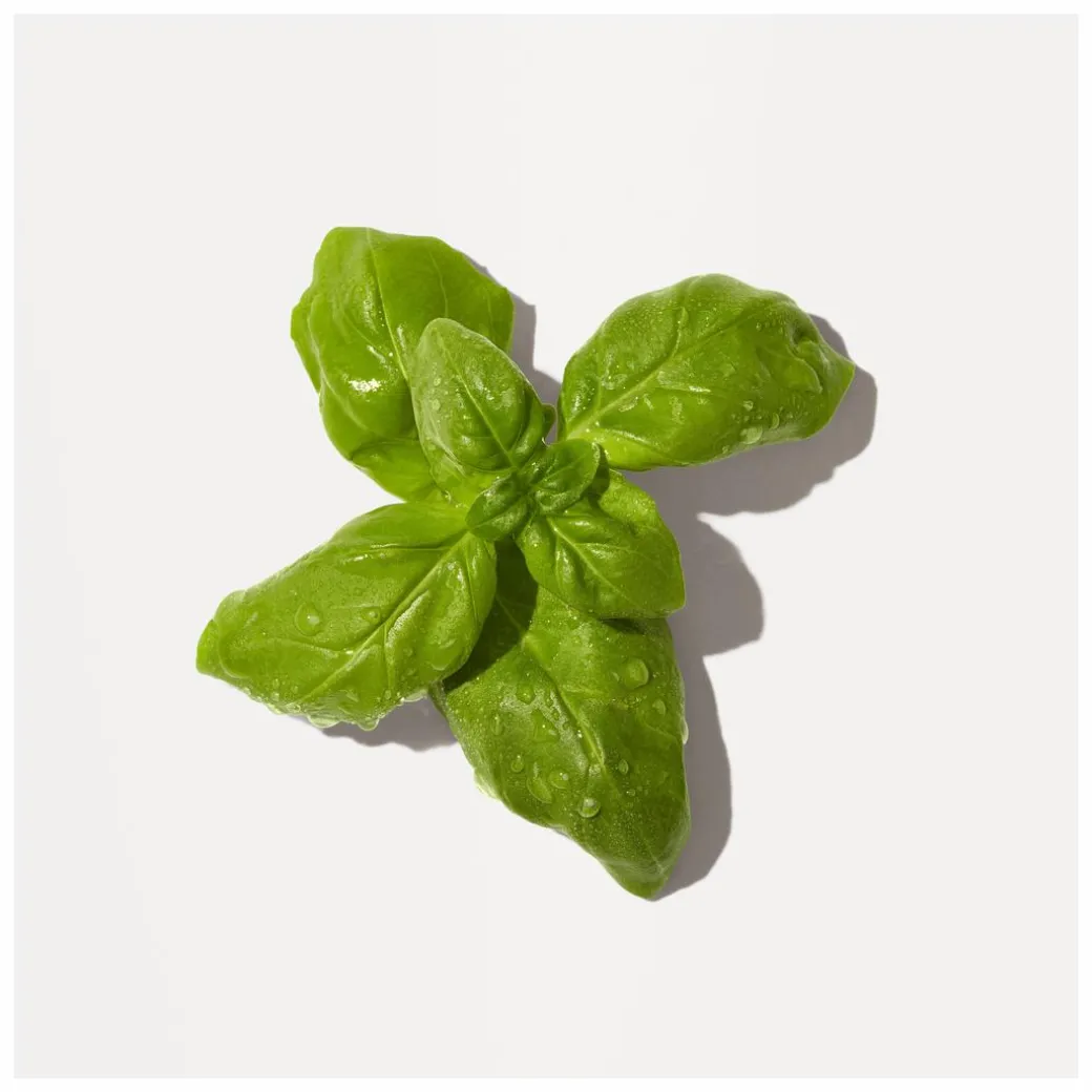 Origins Peace Of Mind Moisturising Hand Cream