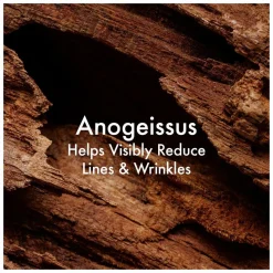 Origins Plantscription Multi-Powered Youth Serum