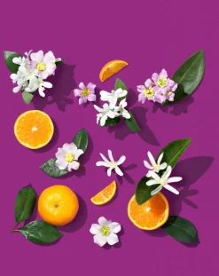 Philip Kingsley Moisture Balancing Egyptian Jasmine & Mandarin Conditioner