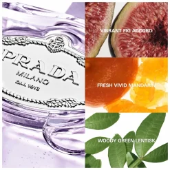 Prada Infusion de Figue Eau de Parfum Spray