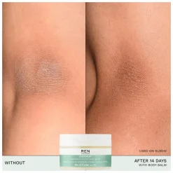 REN Evercalm Barrier Support Body Balm