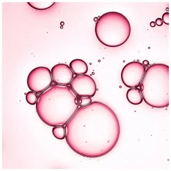 REN Perfect Canvas Smooth, Prep & Plump Essence