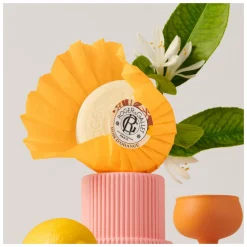 Roger & Gallet Bois d'Orange Wellbeing Soap
