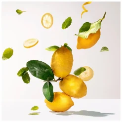 Roger & Gallet Cedrat Wellbeing Shower Gel