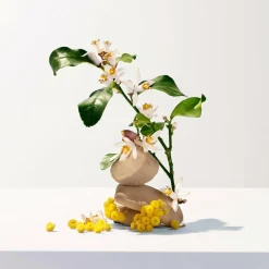 Roger & Gallet Neroli Body Lotion