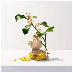 Roger & Gallet Neroli Hand Cream