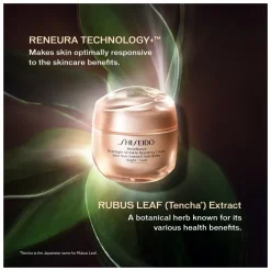 Shiseido Benefiance Overnight Wrinkle Resisting Cream