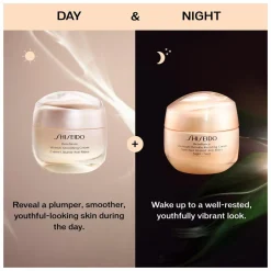 Shiseido Benefiance Overnight Wrinkle Resisting Cream