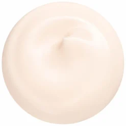 Shiseido Essential Energy Hydrating Day Cream SPF20