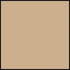 Shiseido WetForce QuickDry Sports BB SPF50+