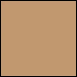 Shiseido WetForce QuickDry Sports BB SPF50+