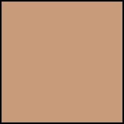 Shiseido WetForce QuickDry Sports BB Compact SPF50+