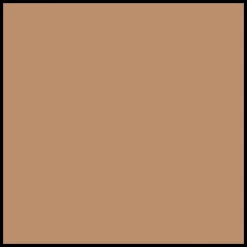 Shiseido WetForce QuickDry Sports BB Compact SPF50+