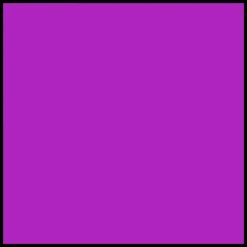 Wet Brush Mini Detangler