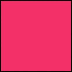 Wet Brush Mini Detangler